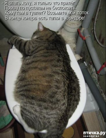 ���� 6: � �������� ���, ����� 