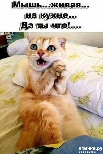 ���� 7: � �������� ���, ����� 