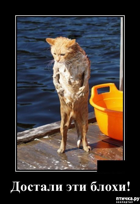 ���� 8: � �������� ���, ����� 