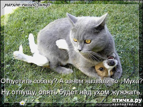 ���� 9: � �������� ���, ����� 