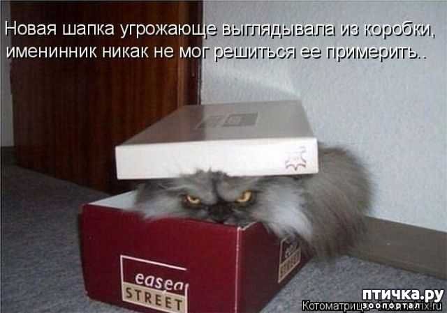 ���� 10: � �������� ���, ����� 