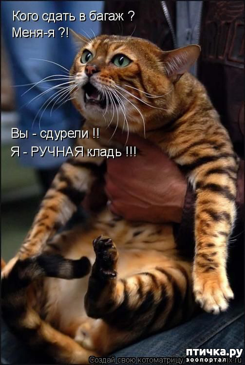 ���� 11: � �������� ���, ����� 