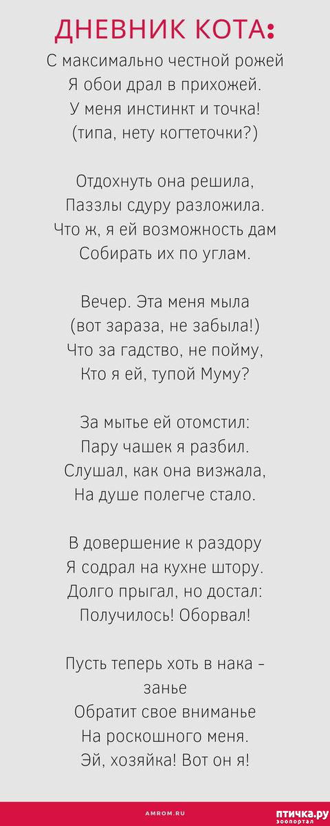 ���� 13: � �������� ���, ����� 