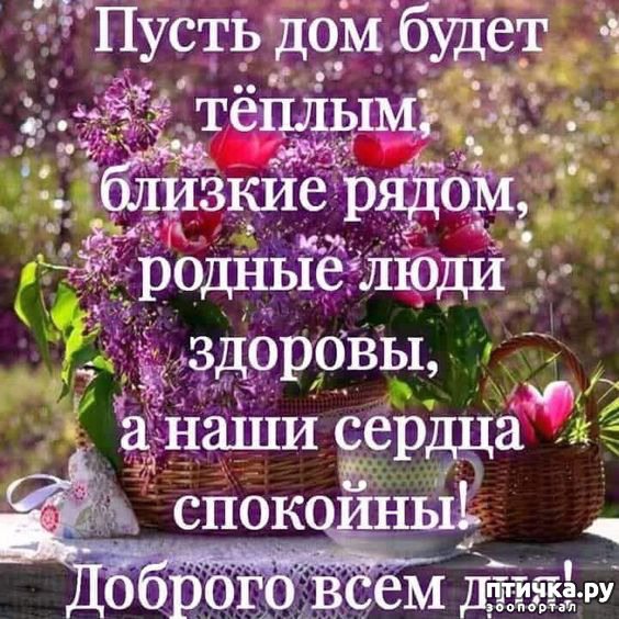 ���� 14: � �������� ���, ����� 