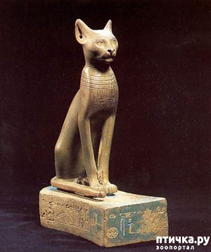 ���� 11: ������ � ������ � �����