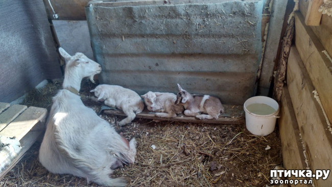 ���� 4: ��������� �������