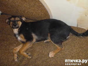 ����: ����� ����� ����������� �����!