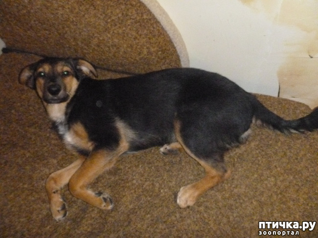 ���� 1: ����� ����� ����������� �����!