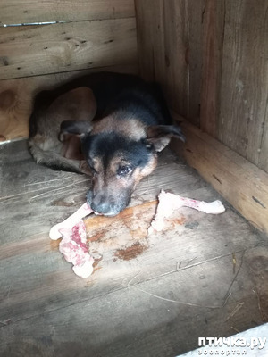 ����: ��������� �������!