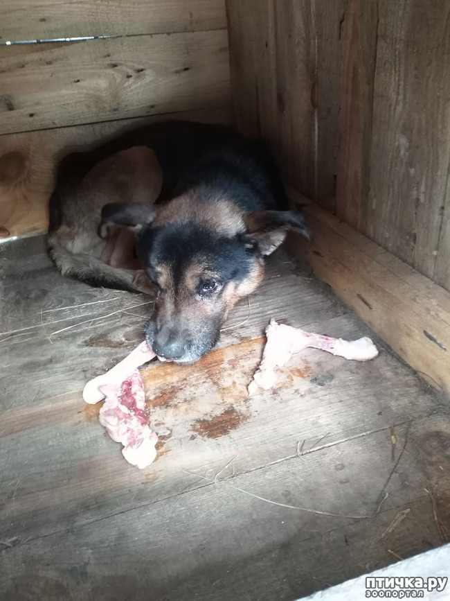 ���� 1: ��������� �������!