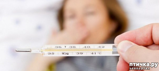 ���� 1: �����������