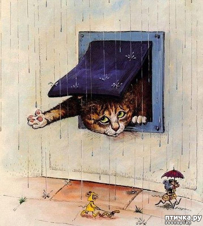 Какой то проказник нарисовал карикатуру