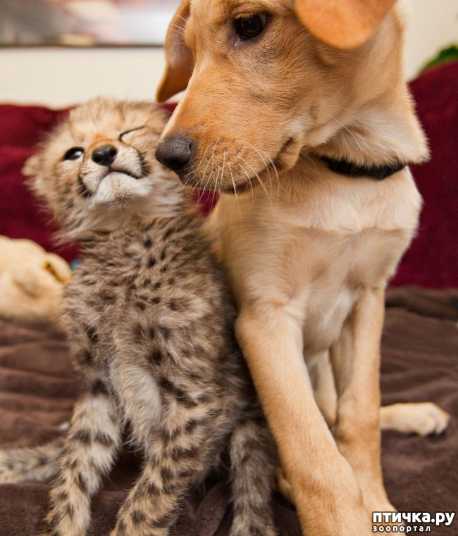 ���� 6: � � - ������ ������! � � - ������ ����!