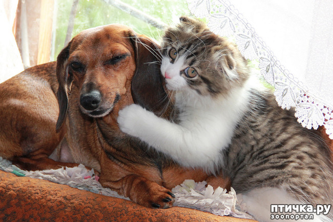 ���� 7: � � - ������ ������! � � - ������ ����!