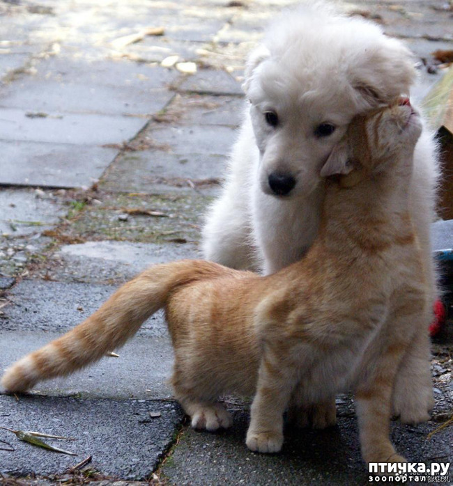 ���� 8: � � - ������ ������! � � - ������ ����!