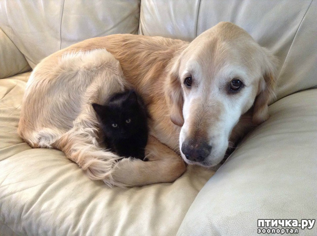 ���� 9: � � - ������ ������! � � - ������ ����!