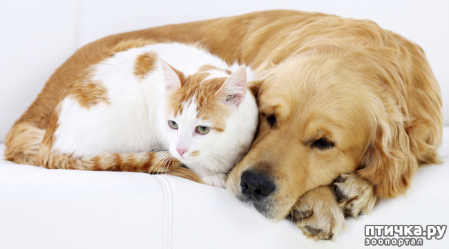 ���� 11: � � - ������ ������! � � - ������ ����!