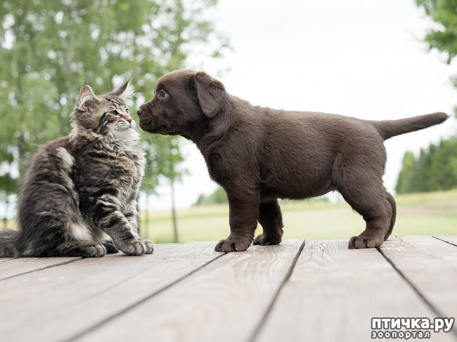 ���� 12: � � - ������ ������! � � - ������ ����!