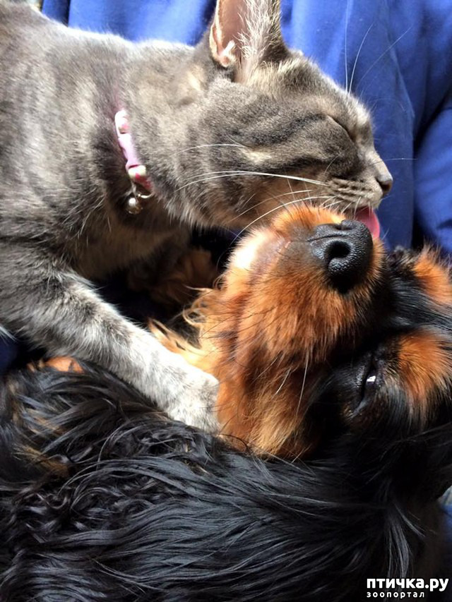 ���� 13: � � - ������ ������! � � - ������ ����!