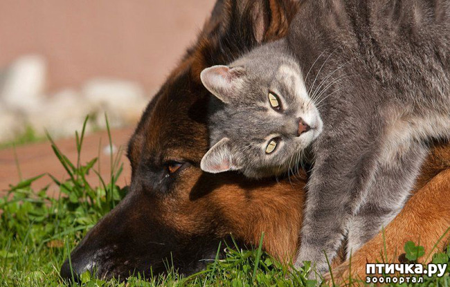 ���� 15: � � - ������ ������! � � - ������ ����!