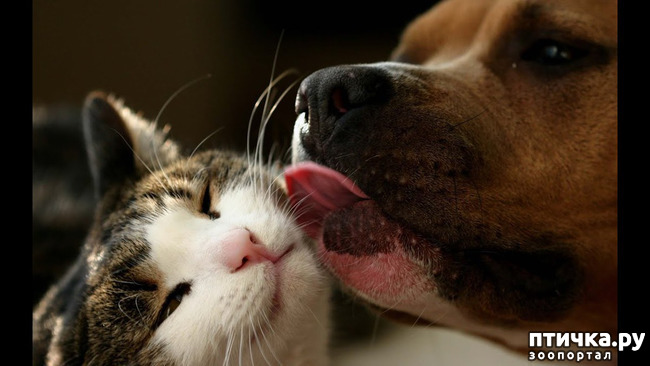 ���� 16: � � - ������ ������! � � - ������ ����!