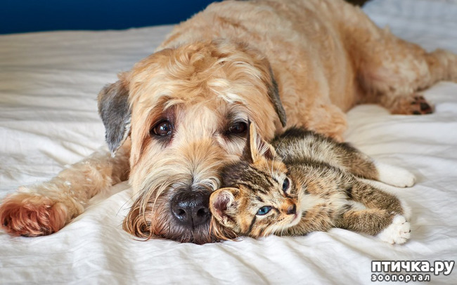 ���� 17: � � - ������ ������! � � - ������ ����!