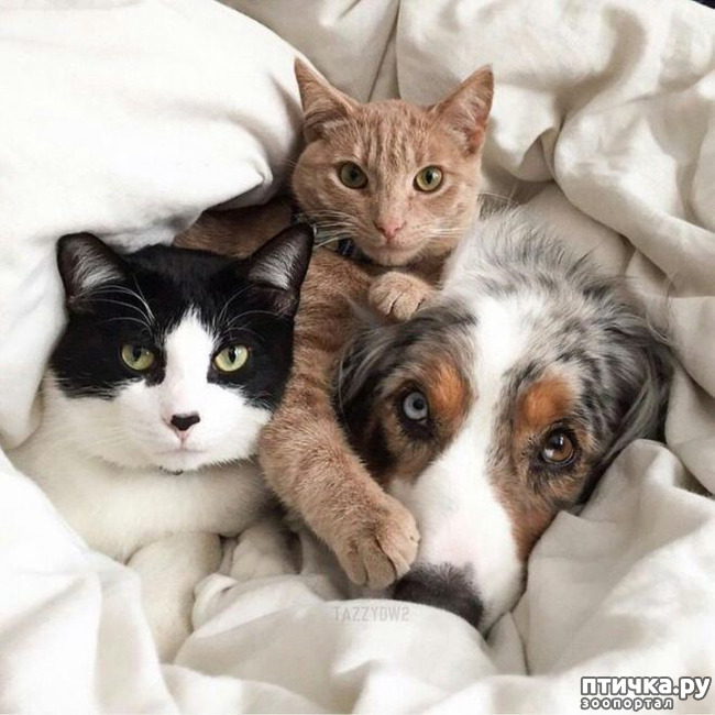 ���� 19: � � - ������ ������! � � - ������ ����!