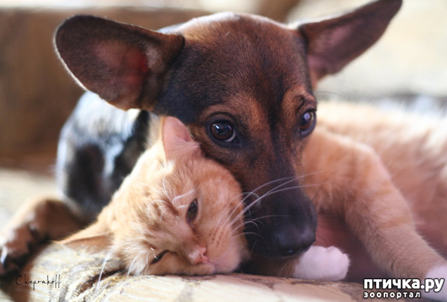 ���� 21: � � - ������ ������! � � - ������ ����!