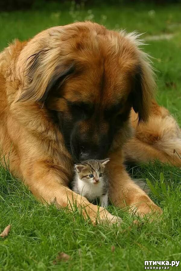 ���� 22: � � - ������ ������! � � - ������ ����!