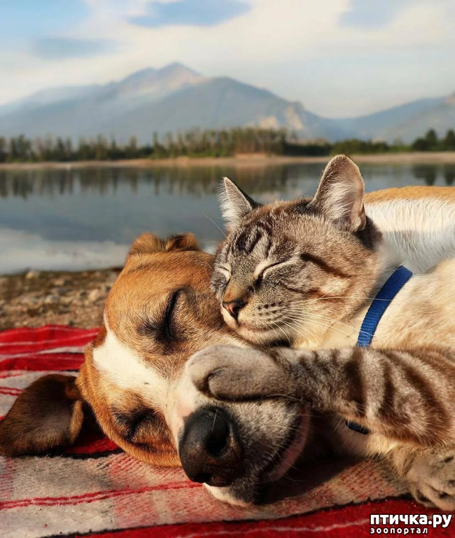 ���� 23: � � - ������ ������! � � - ������ ����!