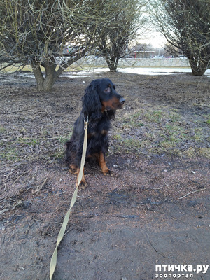 ����: ���� �������.