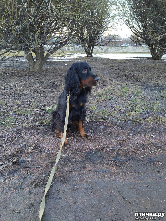 ���� 1: ���� �������.