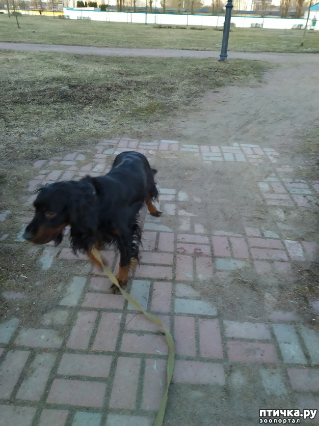 ���� 2: ���� �������.