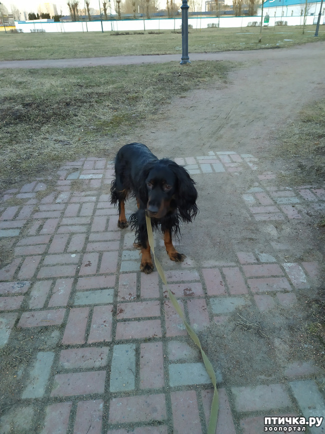 ���� 3: ���� �������.