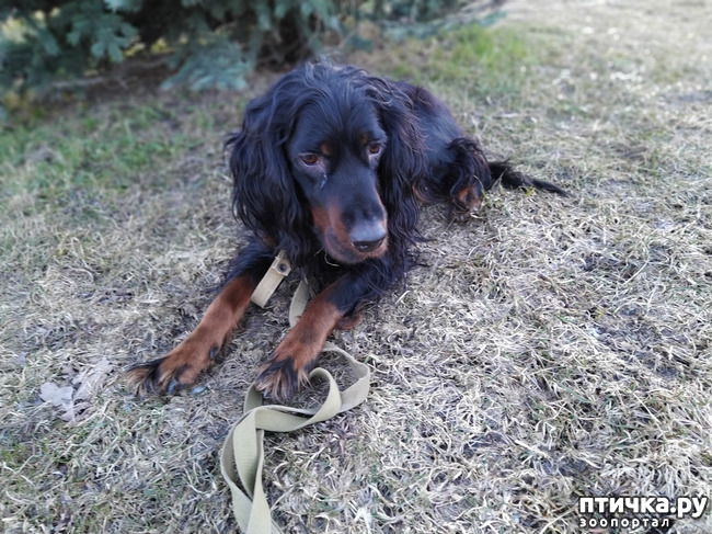 ���� 4: ���� �������.