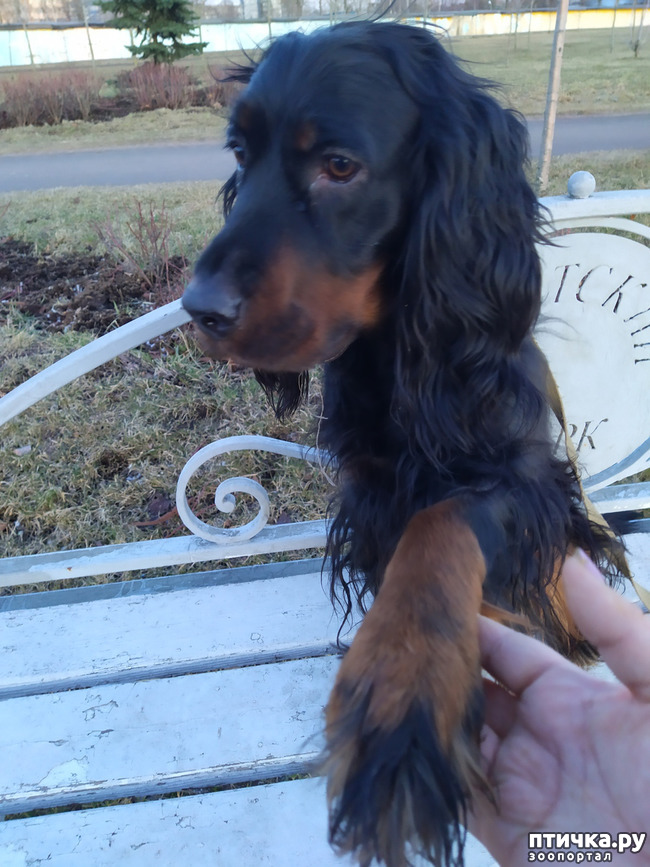 ���� 5: ���� �������.