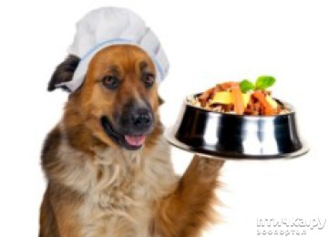 ���� 13: ������ ������ ������������� � ������ ������.