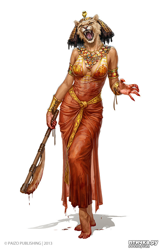 ���� 5: ������