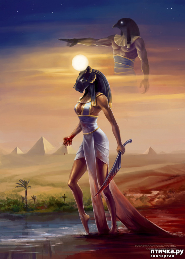 ���� 6: ������