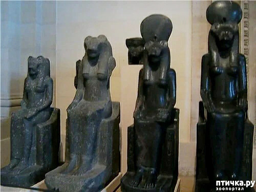 ���� 7: ������