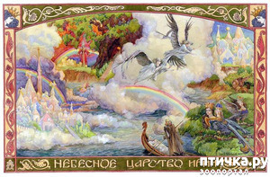 ����: ����