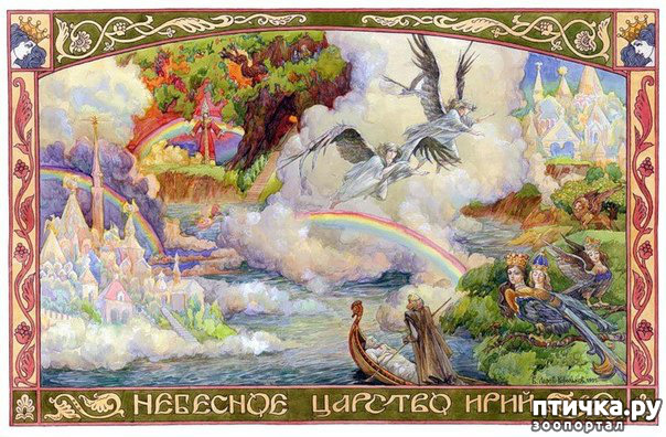 ���� 1: ����