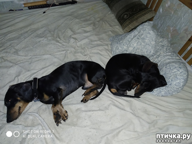 ���� 3: ���� � �������� ���� ������?