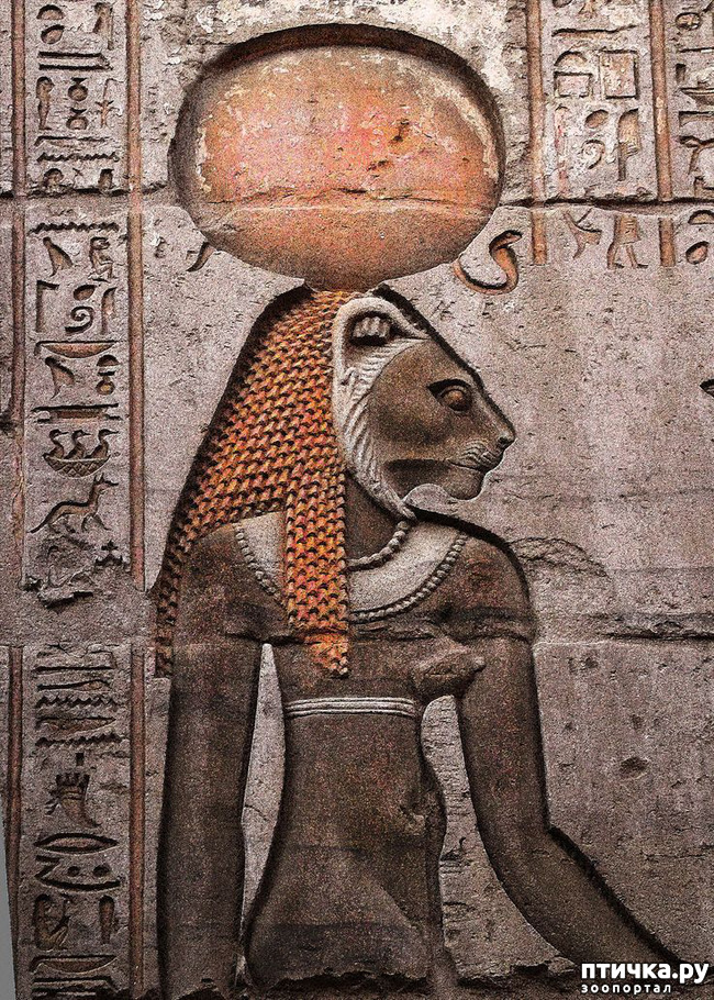 ���� 2: ������