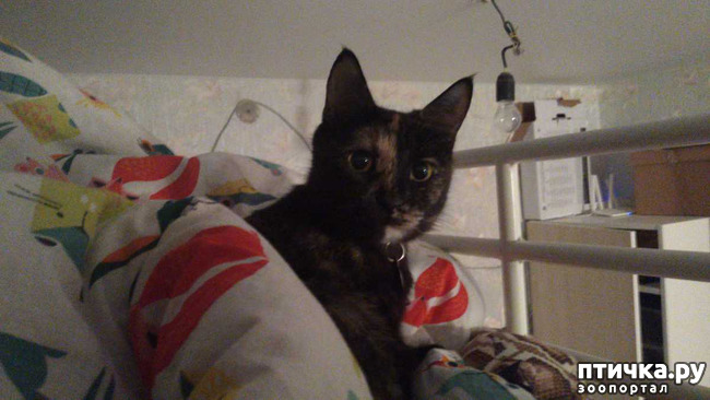 ���� 2: ���� � �������� ���� ������?