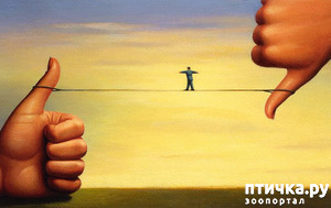 ����: �������������, ������� ����� ��������� ��� ����