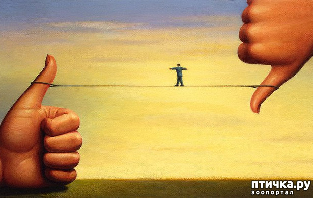 ���� 1: �������������, ������� ����� ��������� ��� ����