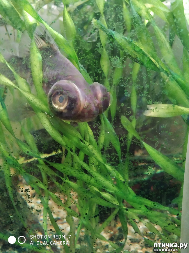 ���� 4: ���� � �������� ���� ������?