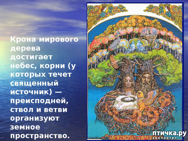 ���� 2: ����