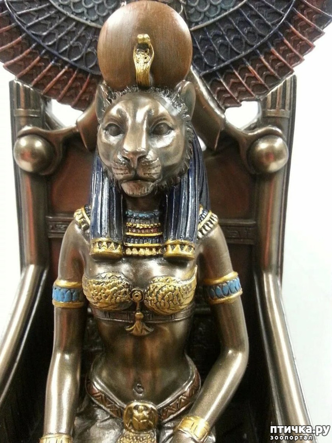 ���� 3: ������